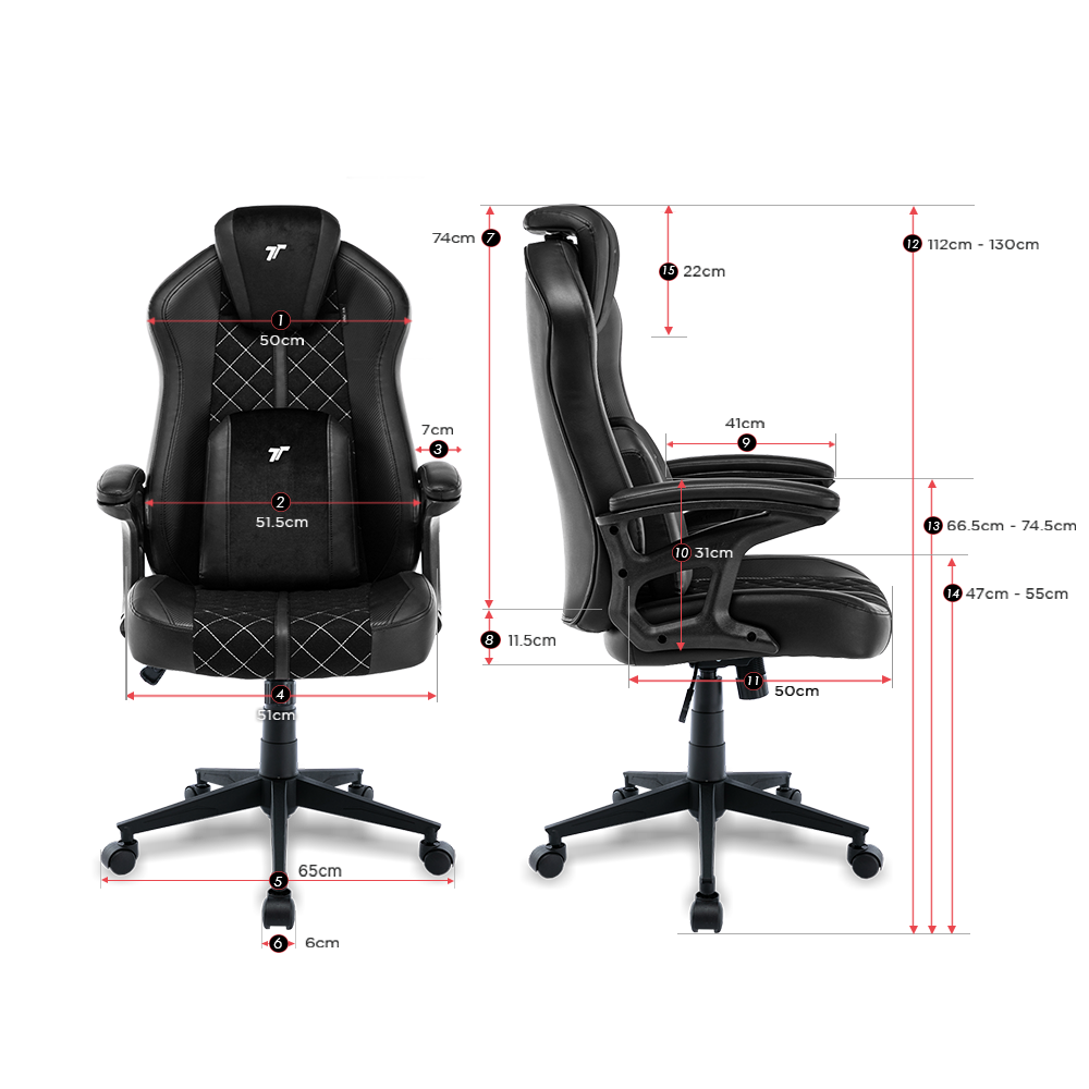 TTRacing Duo V4 Pro Gaming Chair