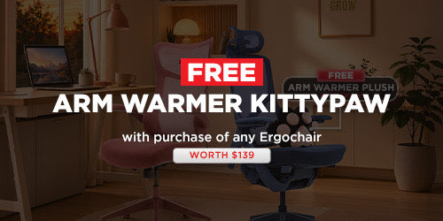 Ergochair + FREE KittyPaw